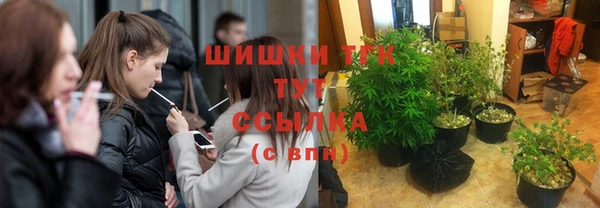 mix Пересвет