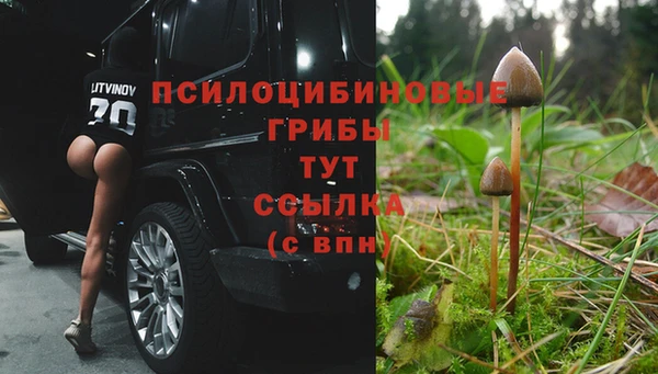 мяу мяу мука Переславль-Залесский