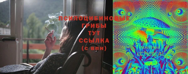ПСИЛОЦИБИНОВЫЕ ГРИБЫ Бронницы